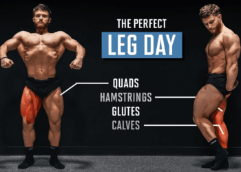 The Perfect Leg Day: A Science-Backed Workout for Max Growth