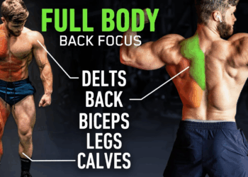 Best Full-Body Workout: Back-Focused (Science-Backed)