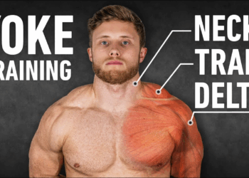 YOKED: The Ultimate Science-Based Trap, Neck & Delt Workout for Mass