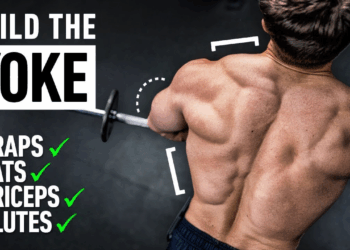 The Most Underrated Exercise for Massive Traps, Triceps & Lats