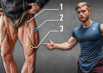 Leg Extension: Perfect Form for Quad Growth (Target All Quad Heads)