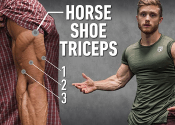 Master Horseshoe Triceps: Arm Position Techniques Explained