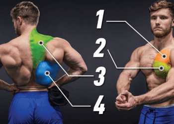 Chest and Back Power Training: A Science-Based Upper Body Workout for Size and Strength