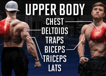 Complete Upper-Body Workout for Size and Strength: A Science-Backed Guide