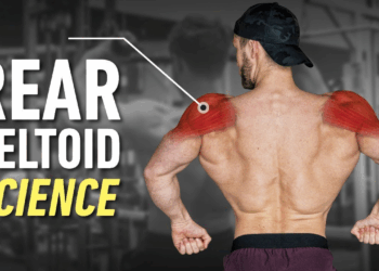 The Ultimate Guide to Rear Delt Training: Best Exercises for Maximum Growth