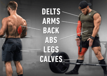 My Strength + Size Workouts: Exact Sets, Reps & Exercises for Gains