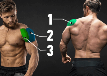 The Most Effective Science-Based Shoulder-Focused Full Body Workout
