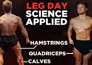 The Most Effective Science-Based LEG WORKOUT: A Complete Guide (12 Studies)