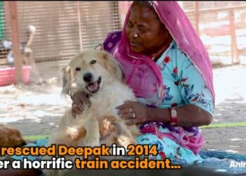 5 Miraculous Steps: How Deepak Found Healing After a Heartbreaking Accident